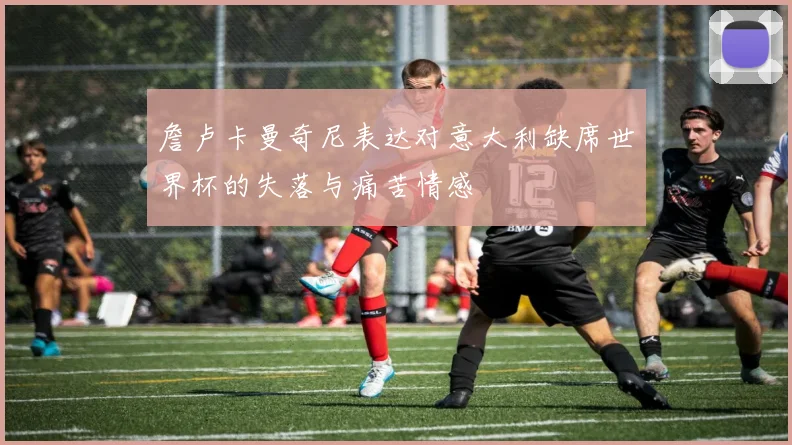 詹卢卡曼奇尼表达对意大利缺席世界杯的失落与痛苦情感